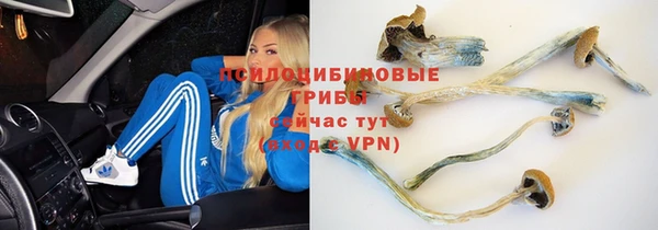 герыч Бронницы