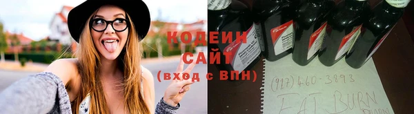 прущий лед Богданович