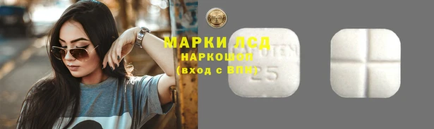 прущий лед Богданович