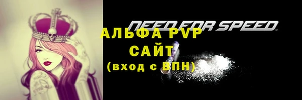 прущий лед Бородино