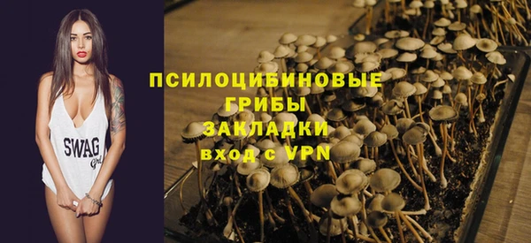 прущий лед Богданович