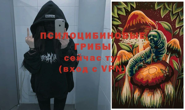 бошки Богородицк
