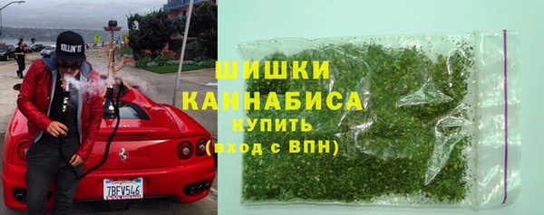 прущий лед Богданович